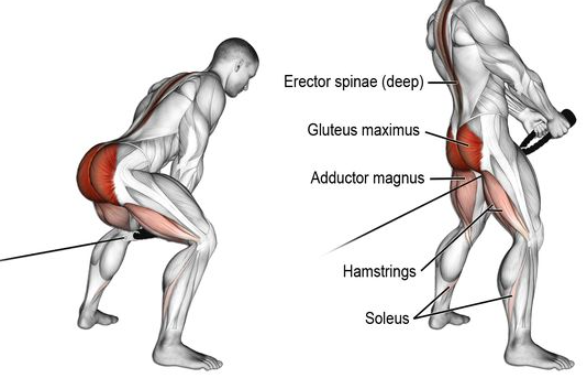 How To Target Outer Quads 2023 Must Do Exercises