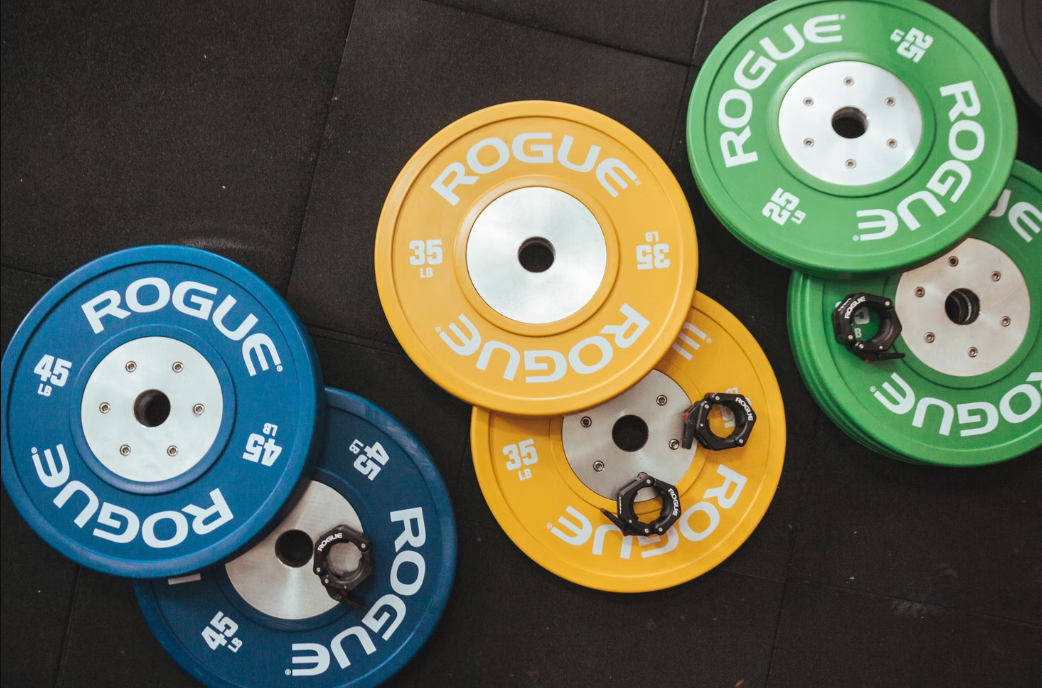 The Best Weight Plates for Home Gym {Buying Guide}